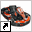 www.antwerpkarting.be